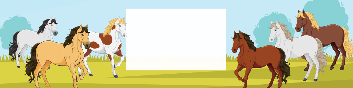 Horses Birthday water bottle label