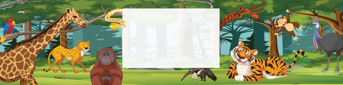 Safari Birthday water bottle label